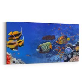 Olla 12149YD Akvaryum Balık Görseli Yatay Dar 60x30 cm Kanvas Tablo