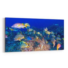 Olla 12150YD Akvaryum Balık Görseli Yatay Dar 60x30 cm Kanvas Tablo