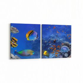 Olla 12151K2Y Akvaryum Balık Görseli Kare 2 Parça Yatay 65x30 cm Kanvas Tablo