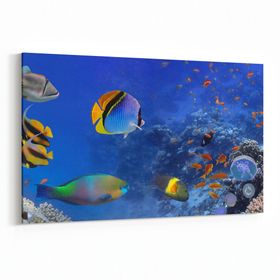 Olla 12151Y Akvaryum Balık Görseli Yatay 30x20 cm Kanvas Tablo