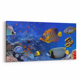 Olla 12152YD Akvaryum Balık Görseli Yatay Dar 60x30 cm Kanvas Tablo
