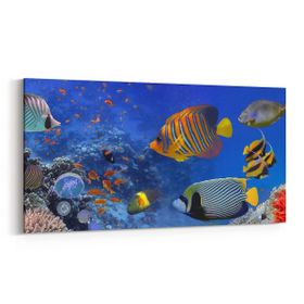 Olla 12152YD Akvaryum Balık Görseli Yatay Dar 60x30 cm Kanvas Tablo