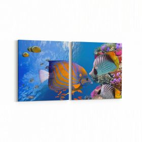 Olla 12153K2Y Akvaryum Balık Görseli Kare 2 Parça Yatay 65x30 cm Kanvas Tablo