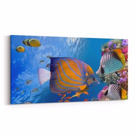 Olla 12153YD Akvaryum Balık Görseli Yatay Dar 60x30 cm Kanvas Tablo
