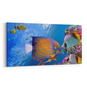 Olla 12153YD Akvaryum Balık Görseli Yatay Dar 60x30 cm Kanvas Tablo