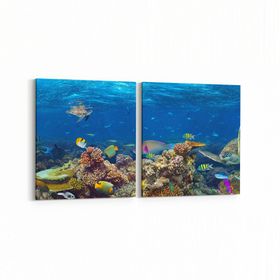 Olla 12159K2Y Akvaryum Balık Görseli Kare 2 Parça Yatay 65x30 cm Kanvas Tablo