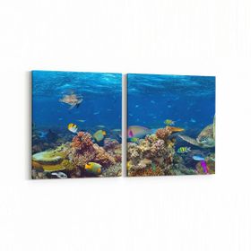 Olla 12159K2Y Akvaryum Balık Görseli Kare 2 Parça Yatay 65x30 cm Kanvas Tablo