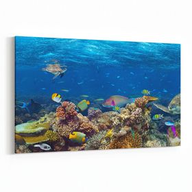 Olla 12159Y Akvaryum Balık Görseli Yatay 30x20 cm Kanvas Tablo