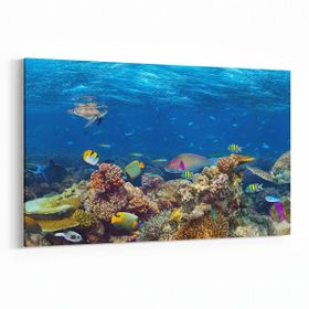 Olla 12159Y Akvaryum Balık Görseli Yatay 30x20 cm Kanvas Tablo