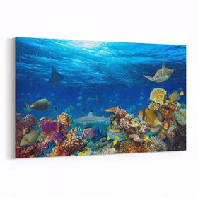 Olla 12160Y Akvaryum Balık Görseli Yatay 30x20 cm Kanvas Tablo