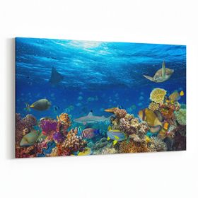 Olla 12160Y Akvaryum Balık Görseli Yatay 30x20 cm Kanvas Tablo