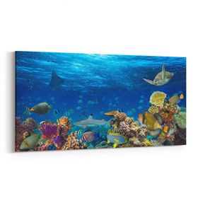 Olla 12160YD Akvaryum Balık Görseli Yatay Dar 60x30 cm Kanvas Tablo