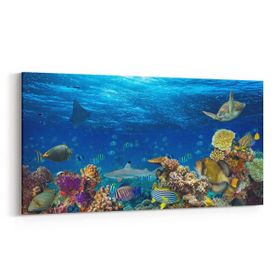 Olla 12160YD Akvaryum Balık Görseli Yatay Dar 60x30 cm Kanvas Tablo