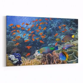 Olla 12163Y Akvaryum Balık Görseli Yatay 30x20 cm Kanvas Tablo