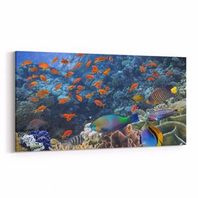 Olla 12163YD Akvaryum Balık Görseli Yatay Dar 60x30 cm Kanvas Tablo