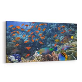 Olla 12163YD Akvaryum Balık Görseli Yatay Dar 60x30 cm Kanvas Tablo