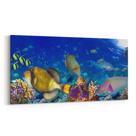 Olla 12166YD Akvaryum Balık Görseli Yatay Dar 60x30 cm Kanvas Tablo