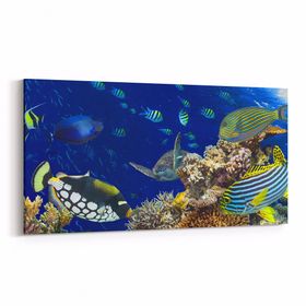 Olla 12167YD Akvaryum Balık Görseli Yatay Dar 60x30 cm Kanvas Tablo