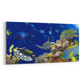 Olla 12167YD Akvaryum Balık Görseli Yatay Dar 60x30 cm Kanvas Tablo