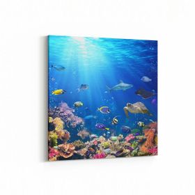 Olla 12169K Akvaryum Balık Görseli Kare 25x25 cm Kanvas Tablo