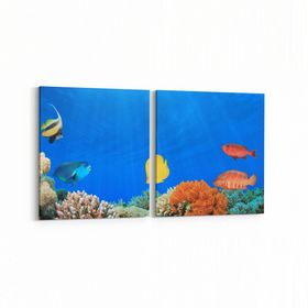 Olla 12202K2Y Akvaryum Balık Görseli Kare 2 Parça Yatay 65x30 cm Kanvas Tablo