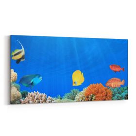 Olla 12202YD Akvaryum Balık Görseli Yatay Dar 60x30 cm Kanvas Tablo