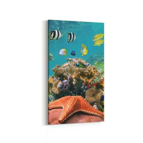 Olla 12203DD Akvaryum Balık Görseli Dikey Dar 30x60 cm Kanvas Tablo
