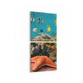 Olla 12203K2D Akvaryum Balık Görseli Kare 2 Parça Dikey 30x65 cm Kanvas Tablo
