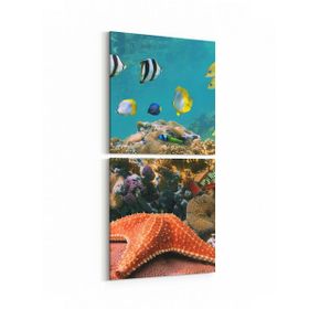 Olla 12203K2D Akvaryum Balık Görseli Kare 2 Parça Dikey 30x65 cm Kanvas Tablo