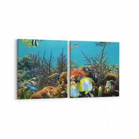 Olla 12204K2Y Akvaryum Balık Görseli Kare 2 Parça Yatay 65x30 cm Kanvas Tablo