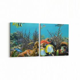 Olla 12204K2Y Akvaryum Balık Görseli Kare 2 Parça Yatay 65x30 cm Kanvas Tablo