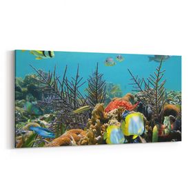 Olla 12204YD Akvaryum Balık Görseli Yatay Dar 60x30 cm Kanvas Tablo
