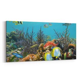 Olla 12204YD Akvaryum Balık Görseli Yatay Dar 60x30 cm Kanvas Tablo