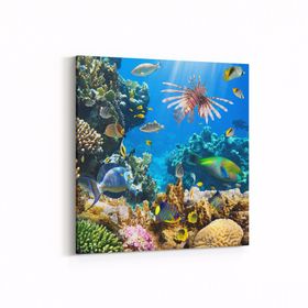 Olla 12206K Akvaryum Balık Görseli Kare 25x25 cm Kanvas Tablo