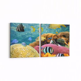 Olla 12208K2Y Akvaryum Balık Görseli Kare 2 Parça Yatay 65x30 cm Kanvas Tablo
