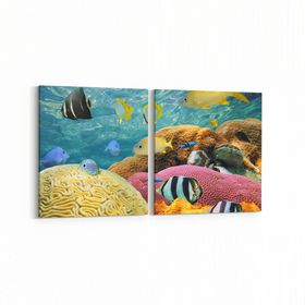 Olla 12208K2Y Akvaryum Balık Görseli Kare 2 Parça Yatay 65x30 cm Kanvas Tablo