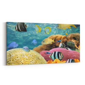 Olla 12208YD Akvaryum Balık Görseli Yatay Dar 60x30 cm Kanvas Tablo