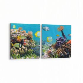 Olla 12209K2Y Akvaryum Balık Görseli Kare 2 Parça Yatay 65x30 cm Kanvas Tablo