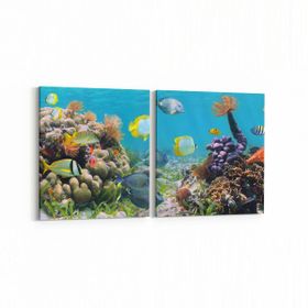 Olla 12209K2Y Akvaryum Balık Görseli Kare 2 Parça Yatay 65x30 cm Kanvas Tablo