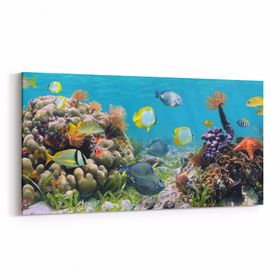 Olla 12209YD Akvaryum Balık Görseli Yatay Dar 60x30 cm Kanvas Tablo