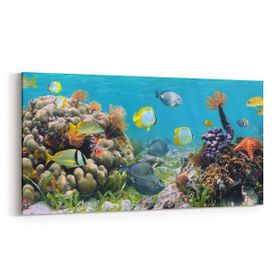 Olla 12209YD Akvaryum Balık Görseli Yatay Dar 60x30 cm Kanvas Tablo