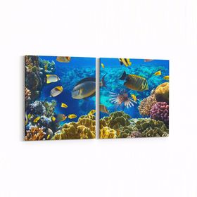 Olla 12210K2Y Akvaryum Balık Görseli Kare 2 Parça Yatay 65x30 cm Kanvas Tablo