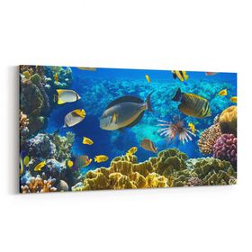 Olla 12210YD Akvaryum Balık Görseli Yatay Dar 60x30 cm Kanvas Tablo