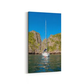 Olla 12255DD Araç Görseli Dikey Dar 30x60 cm Kanvas Tablo