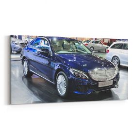 Olla 12267YD Araç Görseli Yatay Dar 60x30 cm Kanvas Tablo