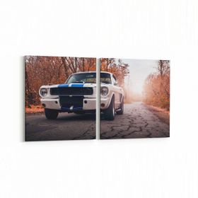 Olla 12315K2Y Araç Görseli Kare 2 Parça Yatay 65x30 cm Kanvas Tablo