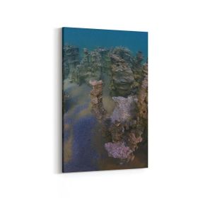 Olla 13269D Doğa Manzara Görseli Dikey 20x30 cm Kanvas Tablo