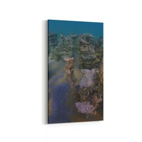Olla 13269DD Doğa Manzara Görseli Dikey Dar 30x60 cm Kanvas Tablo