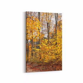 Olla 13280D Doğa Manzara Görseli Dikey 20x30 cm Kanvas Tablo