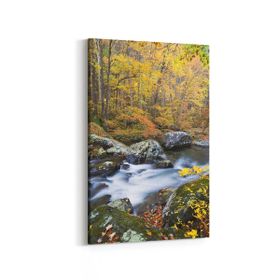 Olla 13311D Doğa Manzara Görseli Dikey 20x30 cm Kanvas Tablo